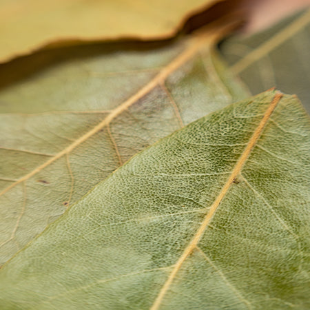 Laurbærblade (Bay leaves), hele